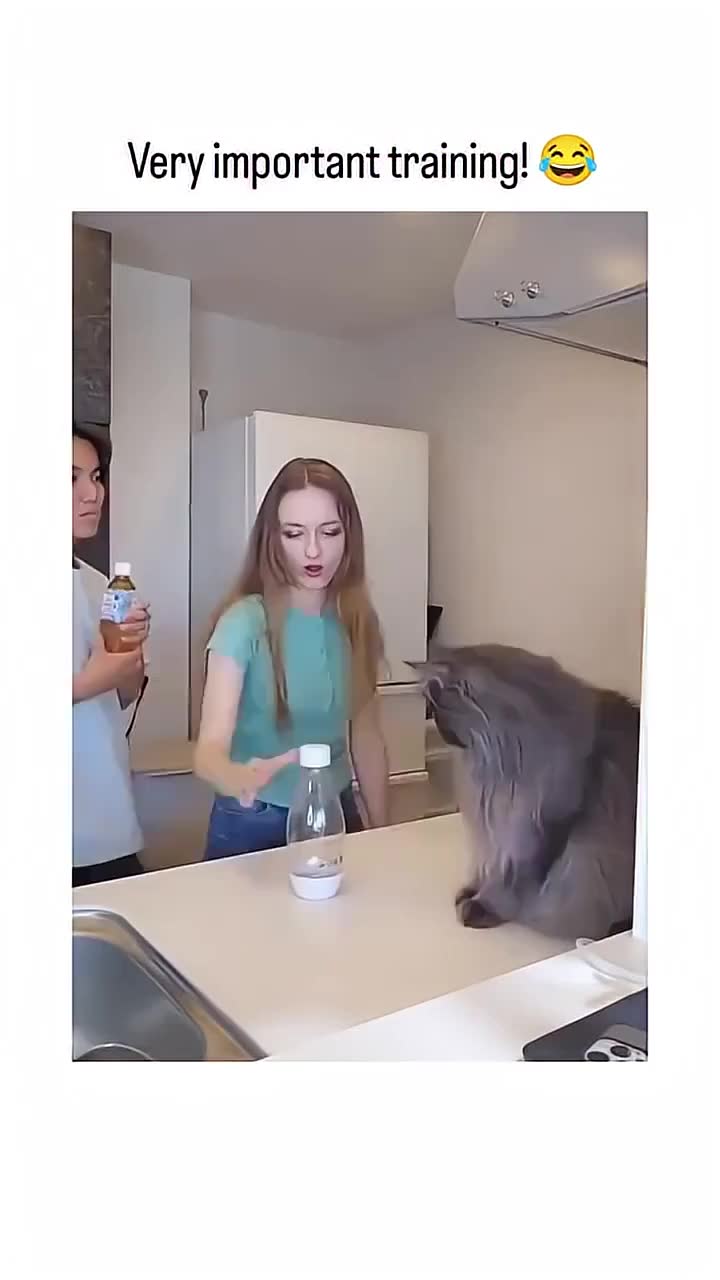#FunnyClips#ComedyClips#FunnyVideos#ViralClips#FYP#Trending#FunnyMoments#LOL#Comedy#MemeVideos#LaughOutLoud#ViralVideo 😄