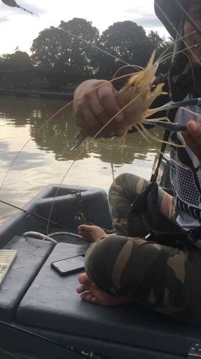 Mata kail udang galah padu!!! #udanggalah #pancing #PancingUdangGalah #matapancing #rod #reel