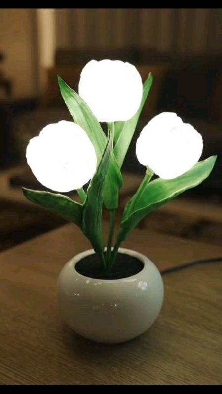 cute giler kalau letak dalam bilik ni #cute #deco #Home #fyp