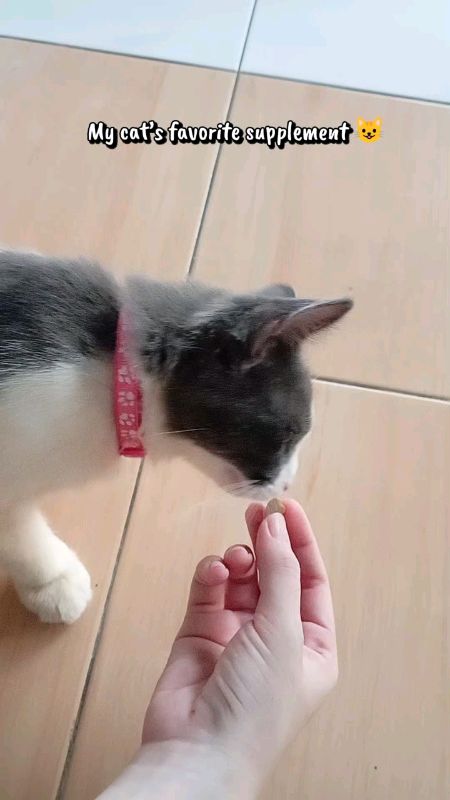 Mudah je nak bagi kucing makan vitamin ni 🥰 #puainta #puaintamultivitamin #catsupplement #petvitamin #shopeehaul #shopeelagimurah #shopeemy