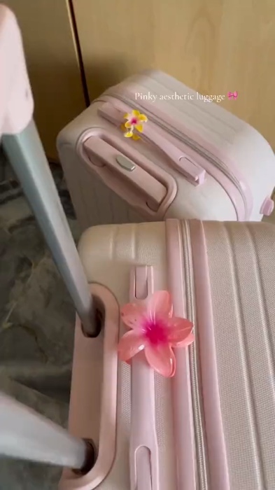 Pink Luggage 😭🌸✨ comel #shopeehaul #prety #pink