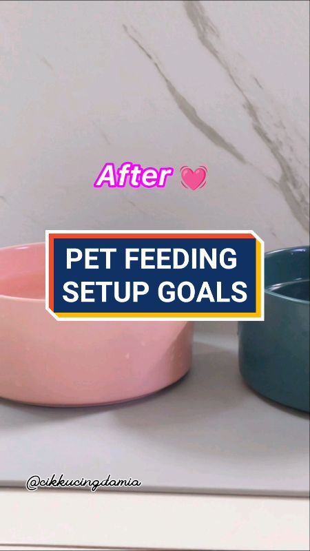 CERAMIC BOWL MINIMALIST UNTUK KUCING, KEMAS BILA SUSUN, BERAT & TEBAL. SAIZ BESAR SESUAI KUCING DEWASA. #catbowl #petaccessories #shopeelagimurah