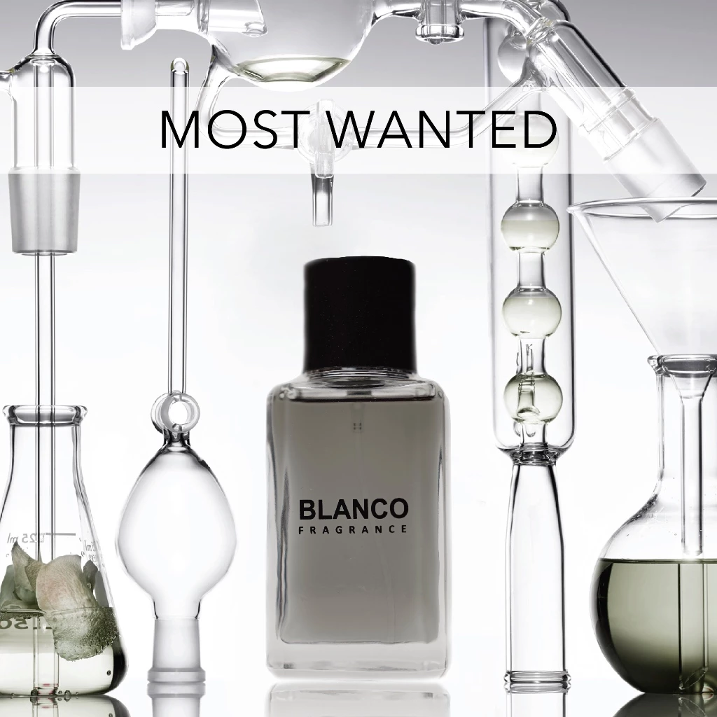 THE MOST WANTED PERFUME by BLANCO